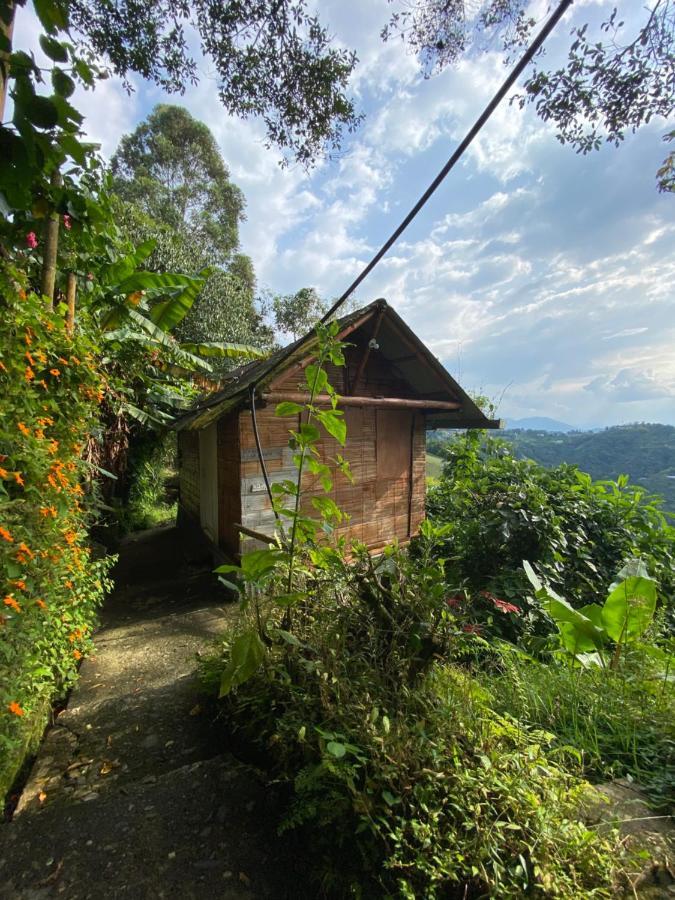 Eco Lodge La Juanita 马尼萨莱斯 外观 照片