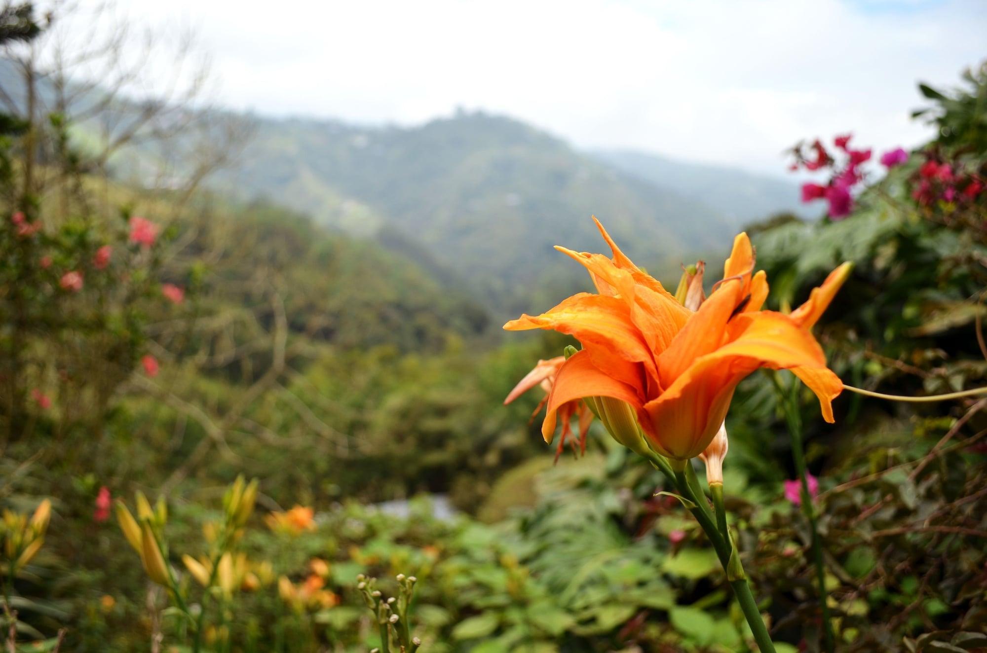 Eco Lodge La Juanita 马尼萨莱斯 外观 照片
