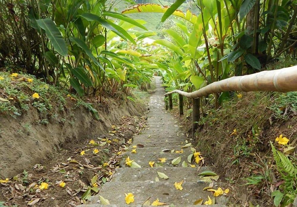 Eco Lodge La Juanita 马尼萨莱斯 外观 照片