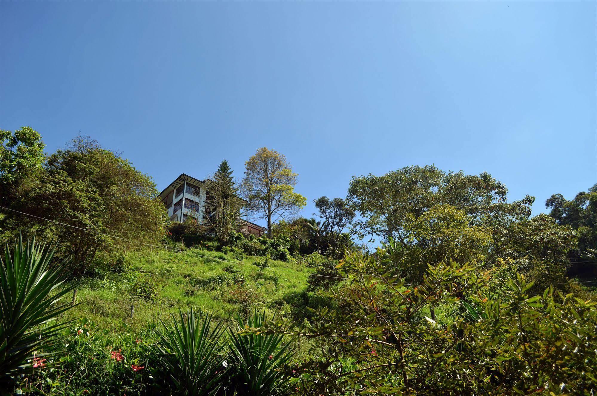 Eco Lodge La Juanita 马尼萨莱斯 外观 照片