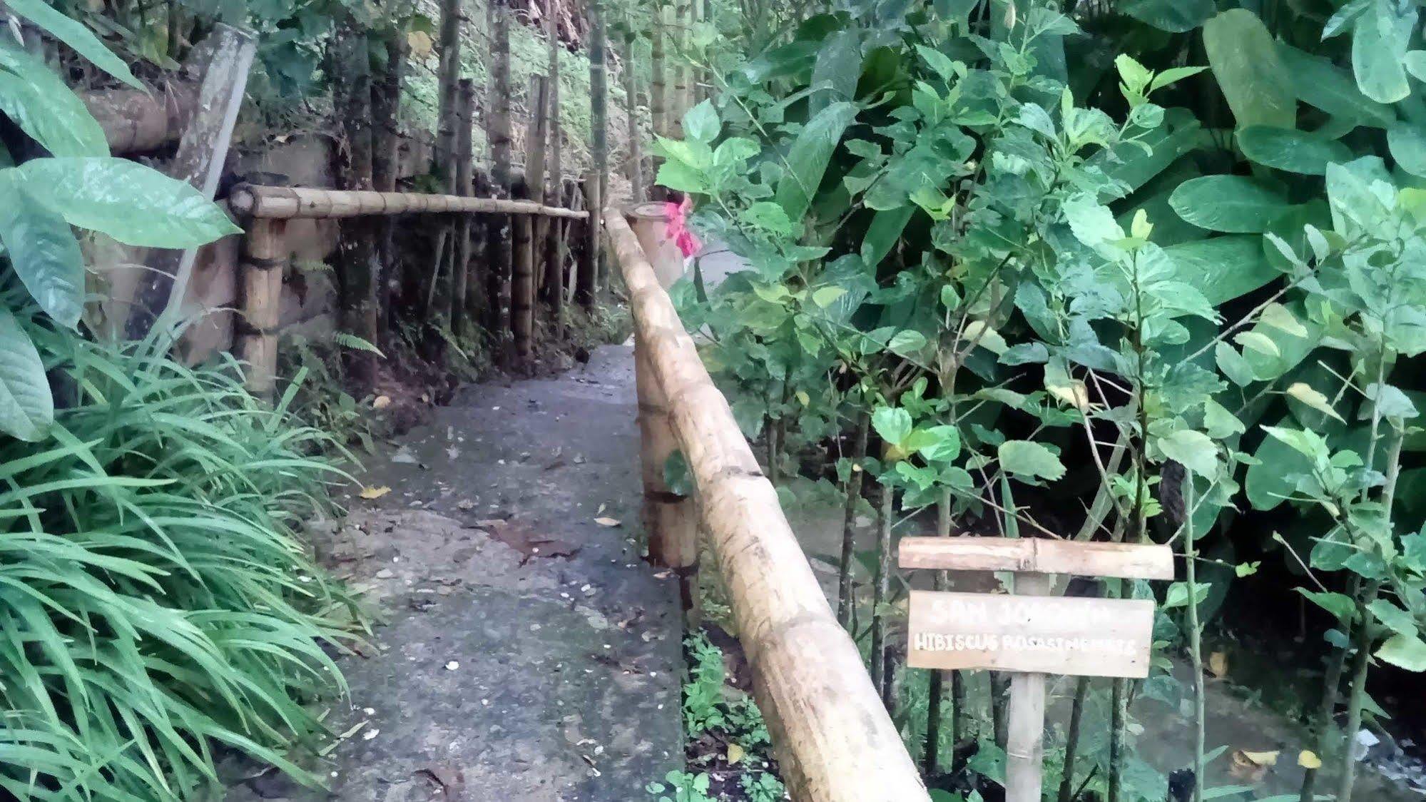 Eco Lodge La Juanita 马尼萨莱斯 外观 照片